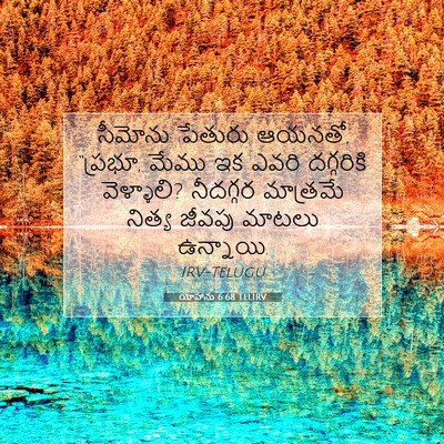 Picture 07 - యోహాను 6:68 TELIRV - సీమోను పేతురు - Bible Verse Picture
