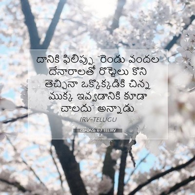 Picture 07 - యోహాను 6:7 TELIRV - దానికి ఫిలిప్పు, - Bible Verse Picture