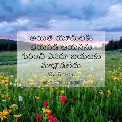 Picture 07 - యోహాను 7:13 TELIRV - అయితే యూదులకు - Bible Verse Picture
