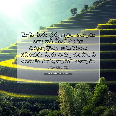 Picture 07 - యోహాను 7:19 TELIRV - మోషే మీకు - Bible Verse Picture
