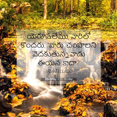 Picture 07 - యోహాను 7:25 TELIRV - యెరూషలేము వారిలో - Bible Verse Picture