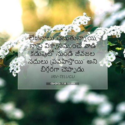 Picture 07 - యోహాను 7:38 TELIRV - లేఖనాలు - Bible Verse Picture