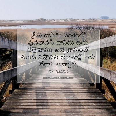 Picture 07 - యోహాను 7:42 TELIRV - క్రీస్తు దావీదు - Bible Verse Picture