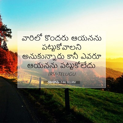 Picture 07 - యోహాను 7:44 TELIRV - వారిలో కొందరు - Bible Verse Picture