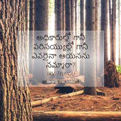Picture 07 - యోహాను 7:48 TELIRV - అధికారుల్లో గానీ - Bible Verse Picture