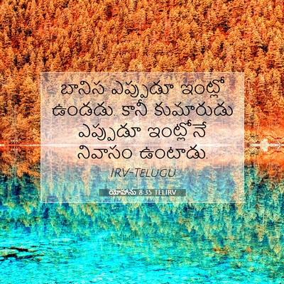 Picture 07 - యోహాను 8:35 TELIRV - బానిస ఎప్పుడూ - Bible Verse Picture