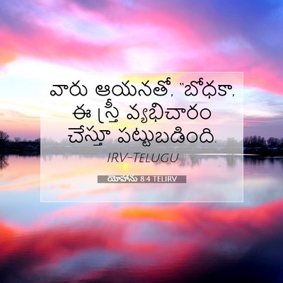 Picture 07 - యోహాను 8:4 TELIRV - వారు ఆయనతో, “బోధకా, - Bible Verse Picture