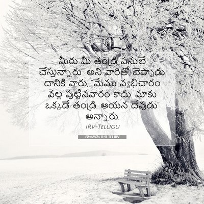 Picture 07 - యోహాను 8:41 TELIRV - మీరు మీ తండ్రి - Bible Verse Picture