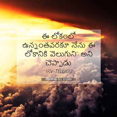 Picture 07 - యోహాను 9:5 TELIRV - ఈ లోకంలో - Bible Verse Picture
