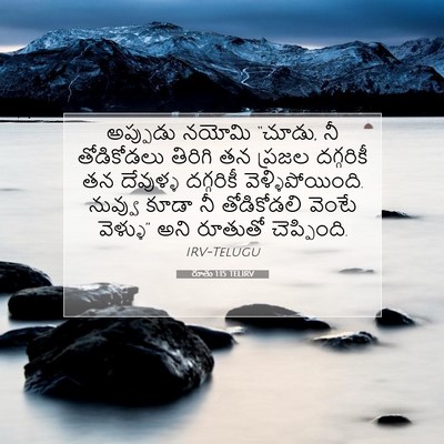 Picture 07 - రూతు 1:15 TELIRV - అప్పుడు నయోమి - Bible Verse Picture