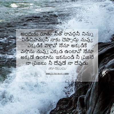 Picture 07 - రూతు 1:16 TELIRV - అందుకు రూతు “నీతో - Bible Verse Picture