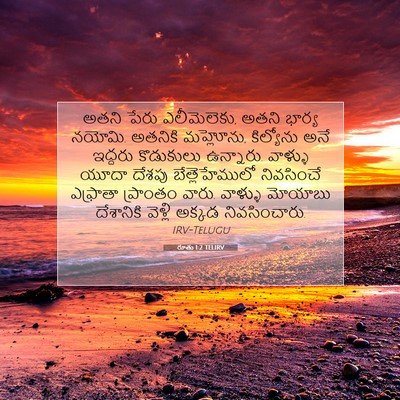 Picture 07 - రూతు 1:2 TELIRV - అతని పేరు - Bible Verse Picture