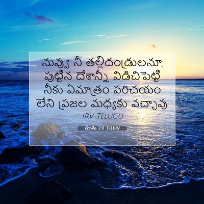 Picture 07 - రూతు 2:11 TELIRV - నువ్వు నీ - Bible Verse Picture