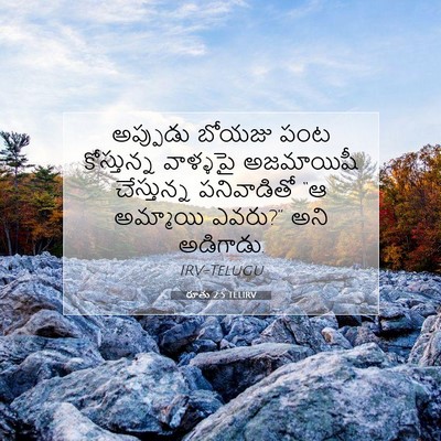 Picture 07 - రూతు 2:5 TELIRV - అప్పుడు బోయజు పంట - Bible Verse Picture