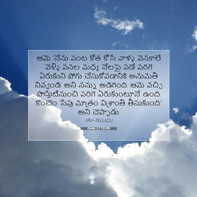 Picture 07 - రూతు 2:7 TELIRV - ఆమె ‘నేను పంట కోత - Bible Verse Picture