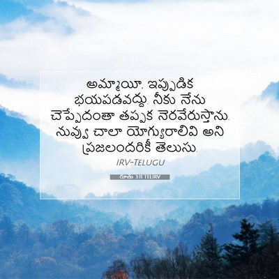 Picture 07 - రూతు 3:11 TELIRV - అమ్మాయీ, ఇప్పుడిక - Bible Verse Picture