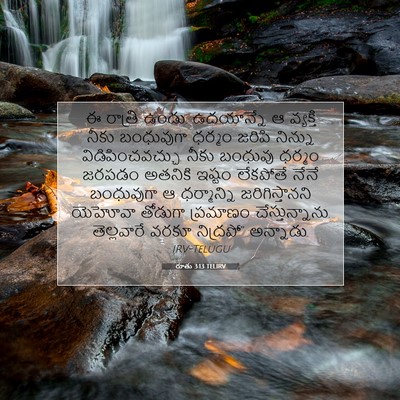 Picture 07 - రూతు 3:13 TELIRV - ఈ రాత్రి ఉండు. - Bible Verse Picture