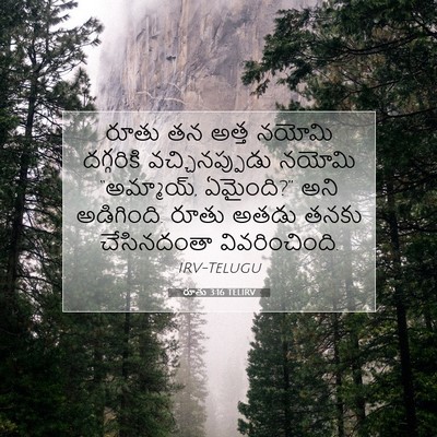 Picture 07 - రూతు 3:16 TELIRV - రూతు తన అత్త నయోమి - Bible Verse Picture