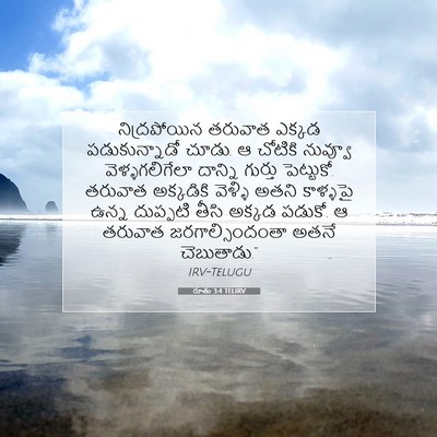 Picture 07 - రూతు 3:4 TELIRV - నిద్రపోయిన తరువాత - Bible Verse Picture