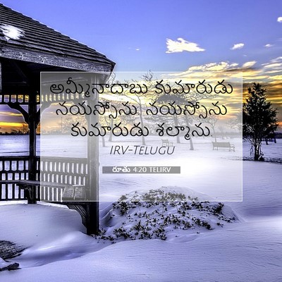 Picture 07 - రూతు 4:20 TELIRV - అమ్మీనాదాబు - Bible Verse Picture