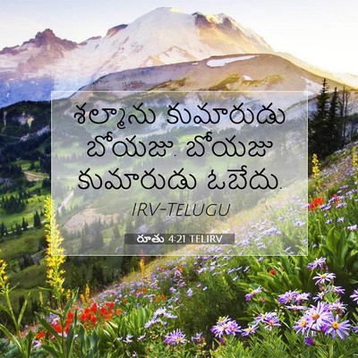 Picture 07 - రూతు 4:21 TELIRV - శల్మాను కుమారుడు - Bible Verse Picture
