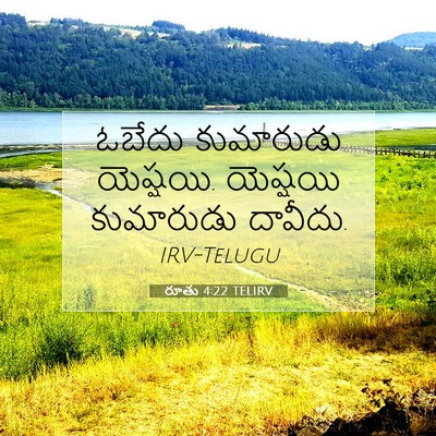 Picture 07 - రూతు 4:22 TELIRV - ఓబేదు కుమారుడు - Bible Verse Picture