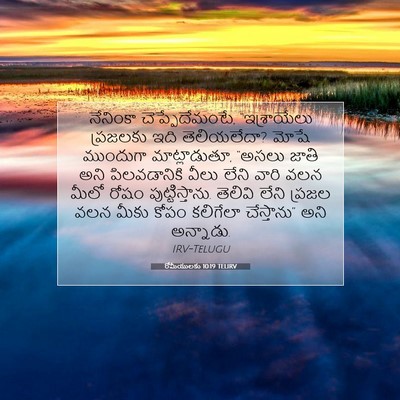 Picture 07 - రోమీయులకు 10:19 TELIRV - నేనింకా - Bible Verse Picture