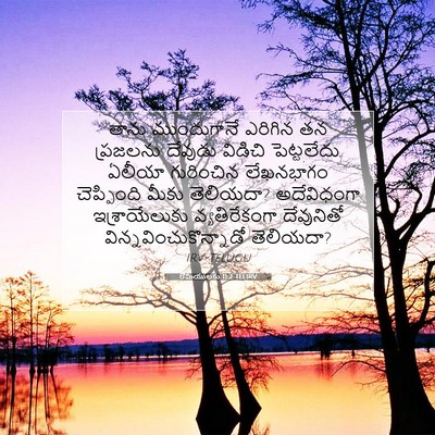 Picture 07 - రోమీయులకు 11:2 TELIRV - తాను ముందుగానే - Bible Verse Picture