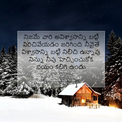 Picture 07 - రోమీయులకు 11:20 TELIRV - నిజమే. వారి - Bible Verse Picture
