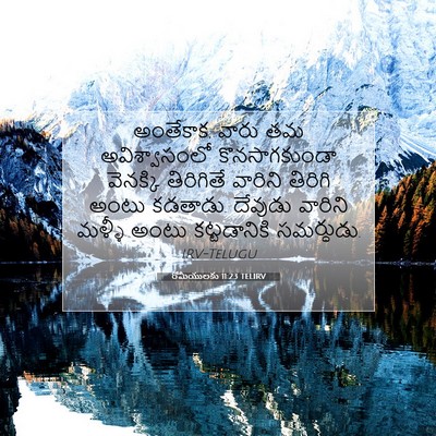 Picture 07 - రోమీయులకు 11:23 TELIRV - అంతేకాక, వారు తమ - Bible Verse Picture