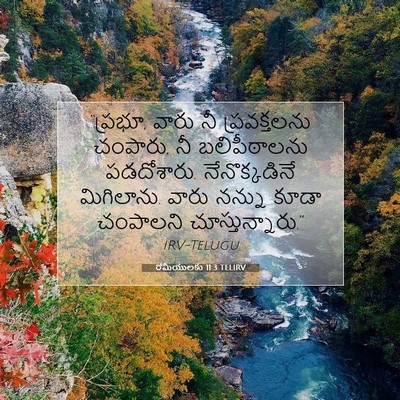 Picture 07 - రోమీయులకు 11:3 TELIRV - “ప్రభూ, వారు నీ - Bible Verse Picture