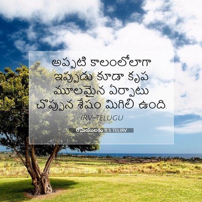 Picture 07 - రోమీయులకు 11:5 TELIRV - అప్పటి కాలంలోలాగా - Bible Verse Picture