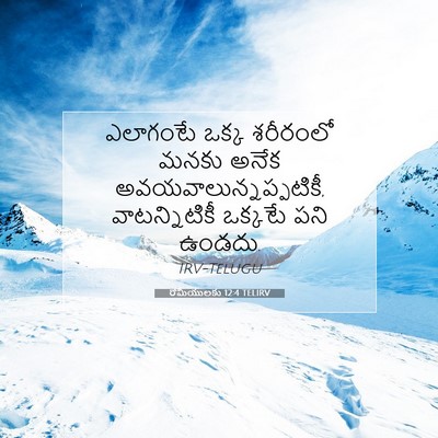 Picture 07 - రోమీయులకు 12:4 TELIRV - ఎలాగంటే ఒక్క - Bible Verse Picture