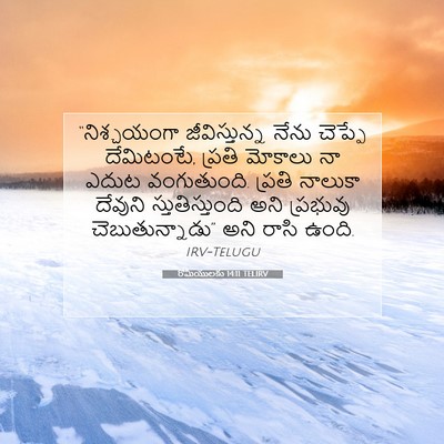 Picture 07 - రోమీయులకు 14:11 TELIRV - “నిశ్చయంగా - Bible Verse Picture