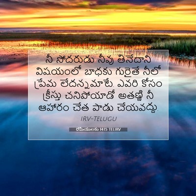 Picture 07 - రోమీయులకు 14:15 TELIRV - నీ సోదరుడు నీవు - Bible Verse Picture
