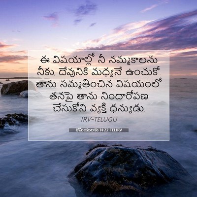 Picture 07 - రోమీయులకు 14:22 TELIRV - ఈ విషయాల్లో నీ - Bible Verse Picture