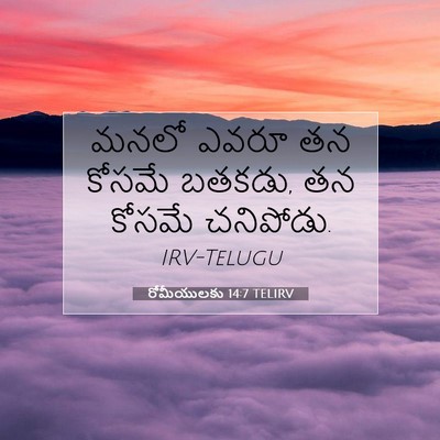 Picture 07 - రోమీయులకు 14:7 TELIRV - మనలో ఎవరూ తన కోసమే - Bible Verse Picture