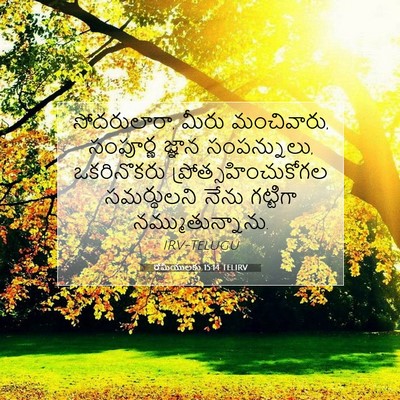 Picture 07 - రోమీయులకు 15:14 TELIRV - సోదరులారా, మీరు - Bible Verse Picture