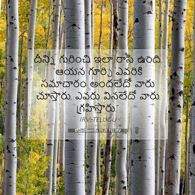 Picture 07 - రోమీయులకు 15:21 TELIRV - దీన్ని గురించి - Bible Verse Picture