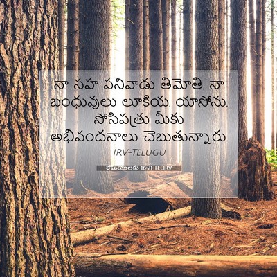 Picture 07 - రోమీయులకు 16:21 TELIRV - నా సహ పనివాడు - Bible Verse Picture