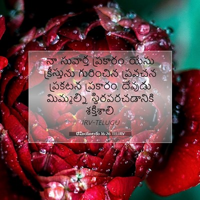 Picture 07 - రోమీయులకు 16:26 TELIRV - నా సువార్త - Bible Verse Picture