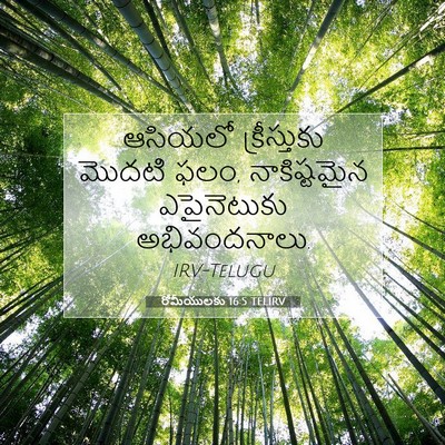 Picture 07 - రోమీయులకు 16:5 TELIRV - ఆసియలో క్రీస్తుకు - Bible Verse Picture