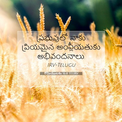 Picture 07 - రోమీయులకు 16:8 TELIRV - ప్రభువులో నాకు - Bible Verse Picture