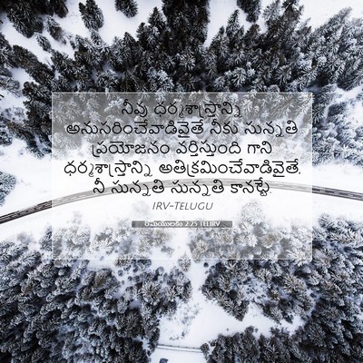 Picture 07 - రోమీయులకు 2:25 TELIRV - నీవు - Bible Verse Picture