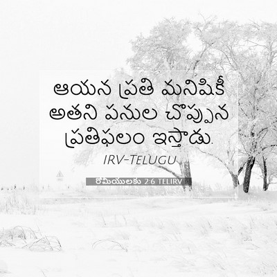Picture 07 - రోమీయులకు 2:6 TELIRV - ఆయన ప్రతి మనిషికీ - Bible Verse Picture