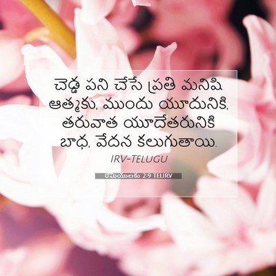 Picture 07 - రోమీయులకు 2:9 TELIRV - చెడ్డ పని చేసే - Bible Verse Picture