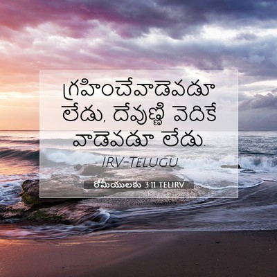 Picture 07 - రోమీయులకు 3:11 TELIRV - గ్రహించేవాడెవడూ - Bible Verse Picture