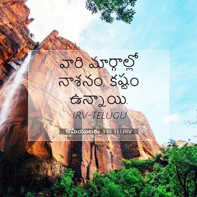 Picture 07 - రోమీయులకు 3:16 TELIRV - వారి మార్గాల్లో - Bible Verse Picture