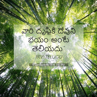 Picture 07 - రోమీయులకు 3:18 TELIRV - వారి దృష్టికి - Bible Verse Picture