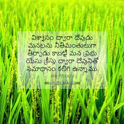 Picture 07 - రోమీయులకు 5:1 TELIRV - విశ్వాసం ద్వారా - Bible Verse Picture